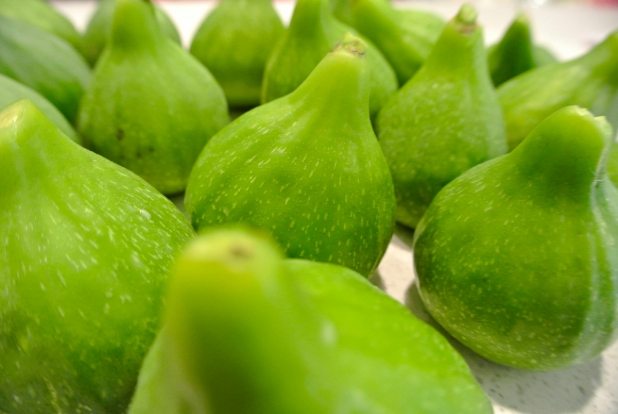 figs-for-slideshow And, figs! (only closer this time)