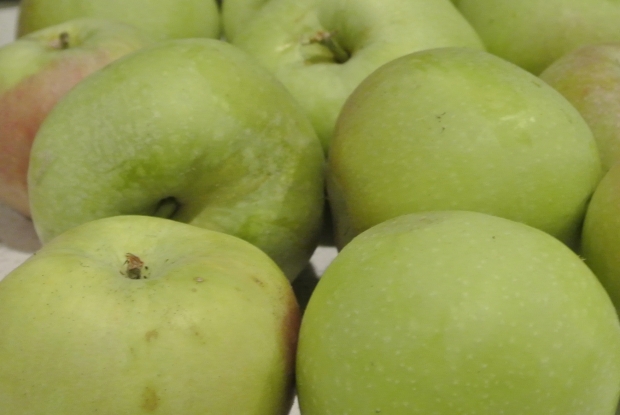 apples